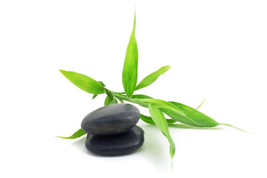 Stones for spa with green bamboo