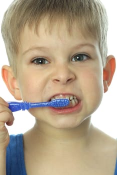 Dental Screening for Toddlers