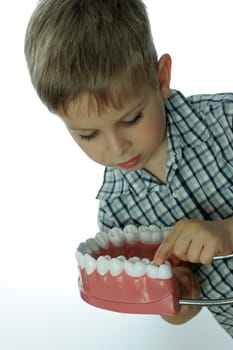 Dental Screening for Toddlers
