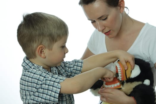 Dental Screening for Toddlers