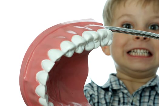Dental Screening for Toddlers