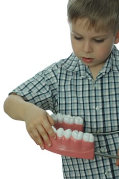 Dental Screening for Toddlers