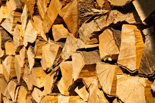 Firewood