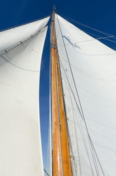 Sailboat