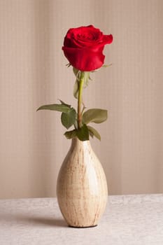 Rose in Vase