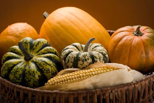 Basket full of mixed pumpkins on orange background