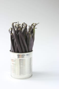 blue garden beans in a tin tin