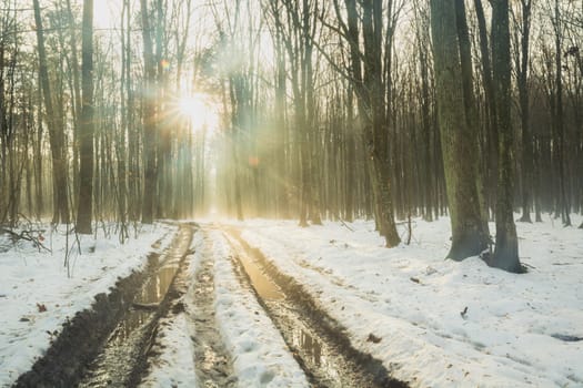 Sun glare over the road in a snow-covered foggy forest, December day