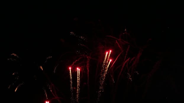 Beautiful fireworks show on a dark night sky.