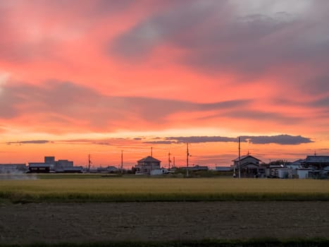 Houses by rice field in rural Japan under dramatic sunset color in sky. High quality photo