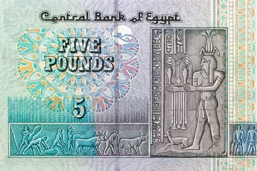 5 five pound bill of Egypt, green pattern, detail