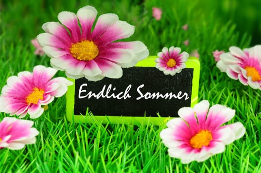 Beginning of summer
