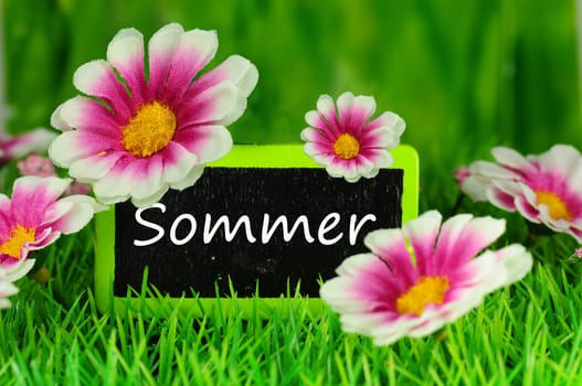 Beginning of summer