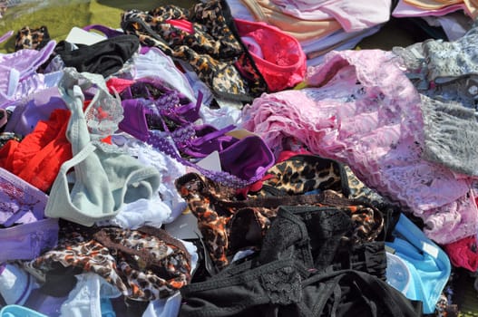 Woman short briefs or panties underwear