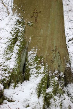 A loves R in winter