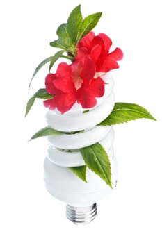 energy saving light bulb on white background