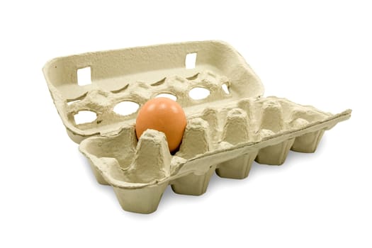 open eggs cardboard with one egg, isolated on white