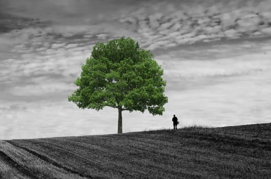 the walker alone in the fields