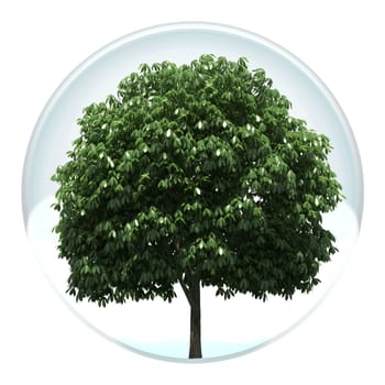 tree in a bubble