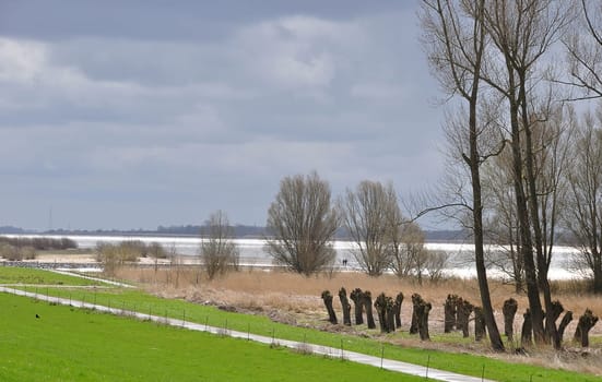 Elbe landscape