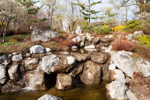 Japanese garden,landscape plants and small waterfall