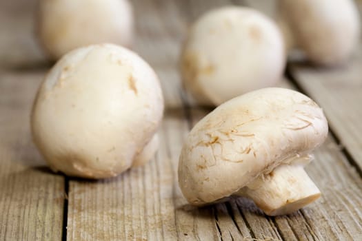 Fresh healthy brown mushrooms with very shallow depth of field