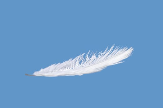 One Feather isolated on a blue sky