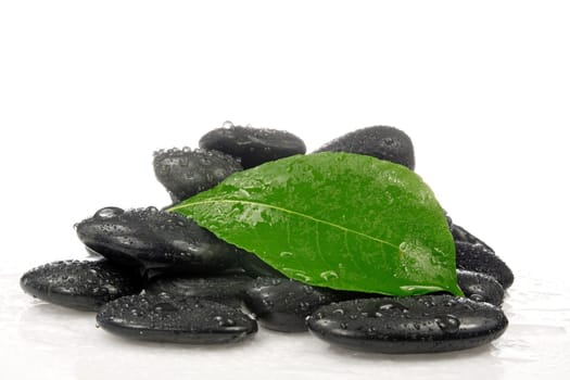 pile of zen stones with a green leaf