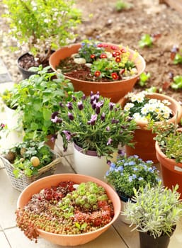 Outdoor flower pots for small garden, patio or terrace