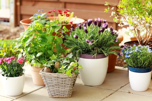 Outdoor flower pots for small garden, patio or terrace