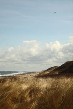 domburg XIII