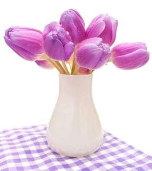 Violet Tulips in Vase on Violet Gingham Tablecloth - Isolated on White