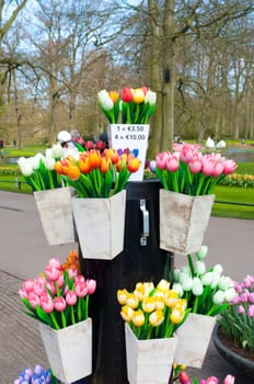 buckets with wooden tulips for sale in the Keukenhof, Netherlands