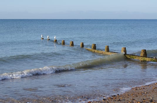 English Beach