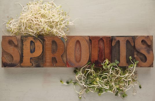 alfalfa and daikon sprouts with the word in old wood type