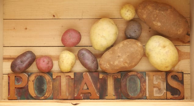 the word potatoes in old wood type with assorted kinds of spuds