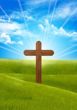 A wooden cross in the middle of a meadow