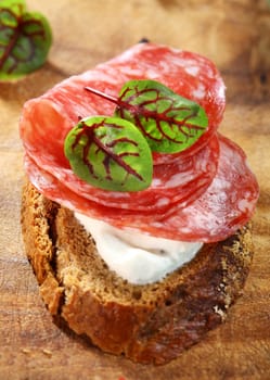 Canape with cream cheese, salami and herbs