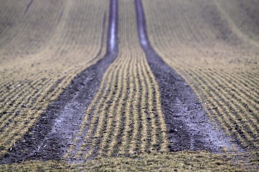 Wet field