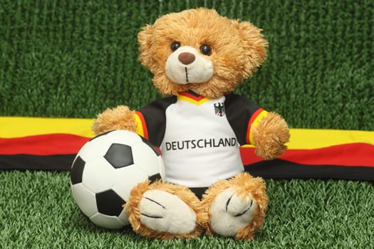 Teddy bear in football jersey on green background