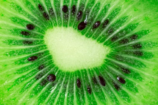 macro shot of green juicy kiwi fruit