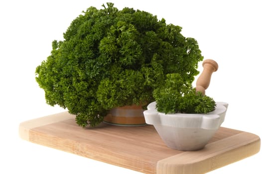 Parsley  on wooden board on white background
