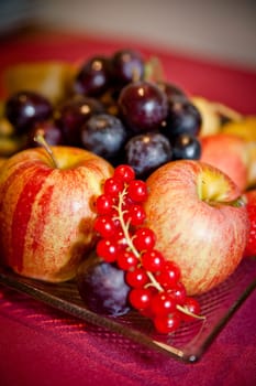 Plate with some Fruits like Apple, Grapes and Redcurrant