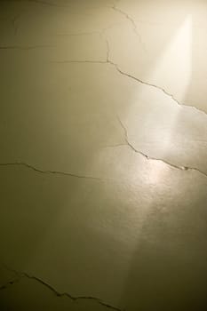 Shadow play