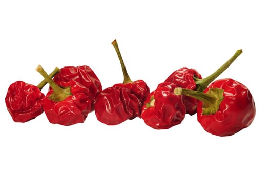 Chillies