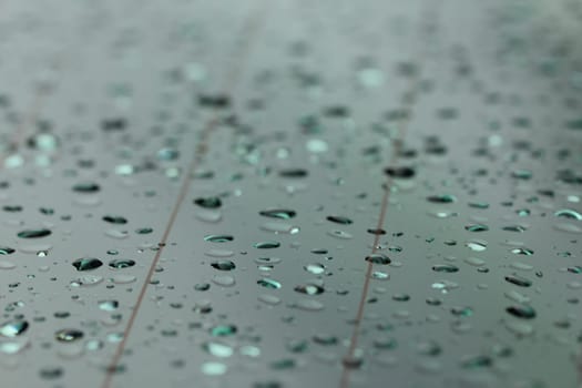 water drops texture