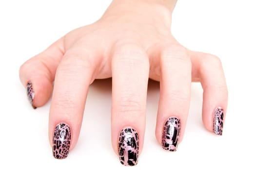 manicured woman hand over a white background
