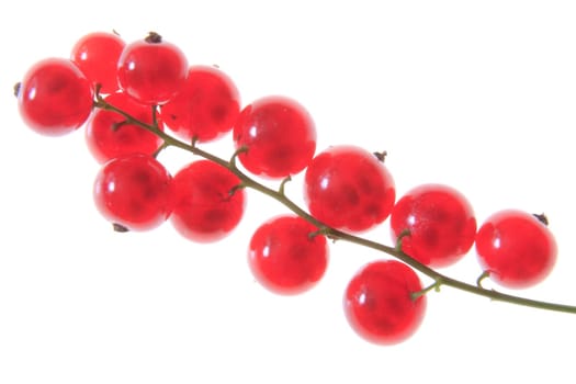 Red currants