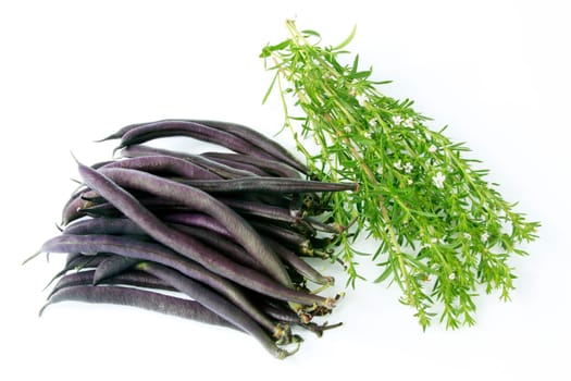 blue garden beans with fresh mountain savory (winter savory)