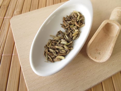 Fennel,Foeniculi fructus